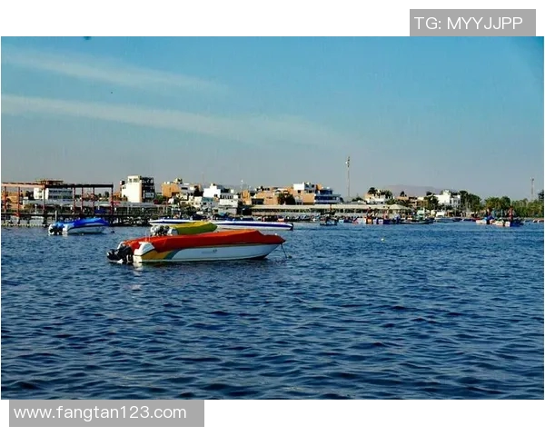 圣马丁与防御正义的深度解析与对比研究