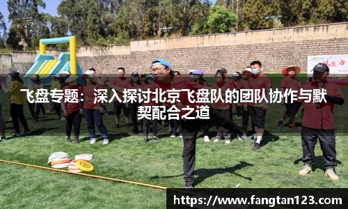 飞盘专题：深入探讨北京飞盘队的团队协作与默契配合之道